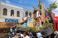 土崎神明社祭　曳山行事（宵宮） [OKE110019896]