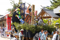 土崎神明社祭　曳山行事（宵宮）　郷社参り [OKE110019930]