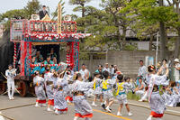 土崎神明社祭　曳山行事（本祭）　御幸曳山　演芸披露 [OKE110019952]