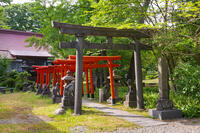 千秋公園（久保田城跡）　与次郎稲荷神社 [OKE110019989]