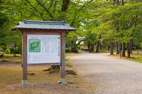 千秋公園（久保田城跡）　本丸跡 [OKE110019991]