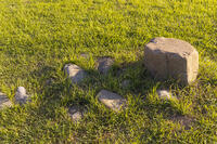 大湯環状列石　配石列 [OKE110020662]