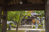 長年寺　山門から望む本堂 [OKE110020688]