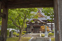 長年寺　山門から望む本堂 [OKE110020689]