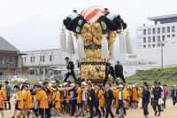 新居浜太鼓祭り　中萩きらきら公園太鼓寄せ　本郷 [OKE110021700]
