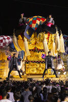 新居浜太鼓祭り　天神浜通りかきくらべ　松神子 [OKE110021716]