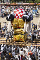 新居浜太鼓祭り　上部地区山根グラウンド統一寄せ [OKE110021734]