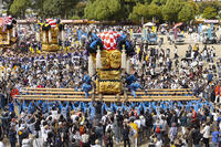 新居浜太鼓祭り　上部地区山根グラウンド統一寄せ [OKE110021743]