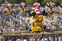 新居浜太鼓祭り　上部地区山根グラウンド統一寄せ [OKE110021759]
