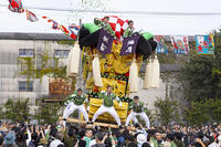 新居浜太鼓祭り　大江浜かきくらべ [OKE110021788]
