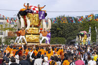 新居浜太鼓祭り　大江浜かきくらべ [OKE110021789]