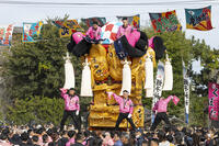 新居浜太鼓祭り　大江浜かきくらべ [OKE110021790]