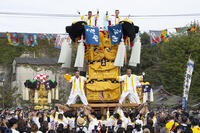 新居浜太鼓祭り　大江浜かきくらべ [OKE110021793]