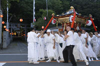 平野天満宮　天王祭　神輿渡御 [OKE110022773]