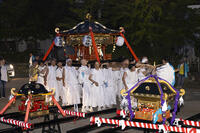 平野天満宮　天王祭　神輿渡御 [OKE110022774]