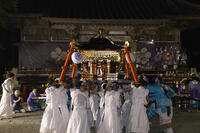 平野天満宮　天王祭　神輿渡御　還御 [OKE110022782]