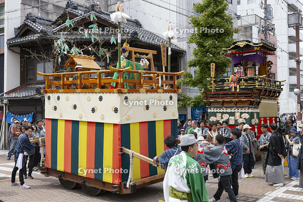 大垣祭（本楽）　城下町巡行 [OKE110019609]