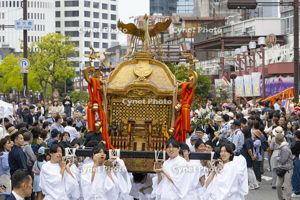 大垣祭（本楽）　大垣まつり行列　神輿 [OKE110019625]