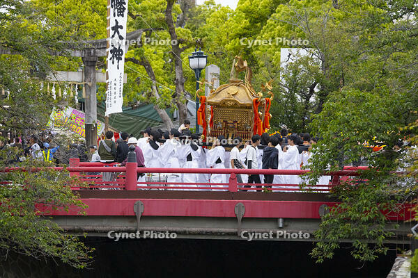 大垣祭（本楽）　大垣まつり行列　神輿 [OKE110019630]