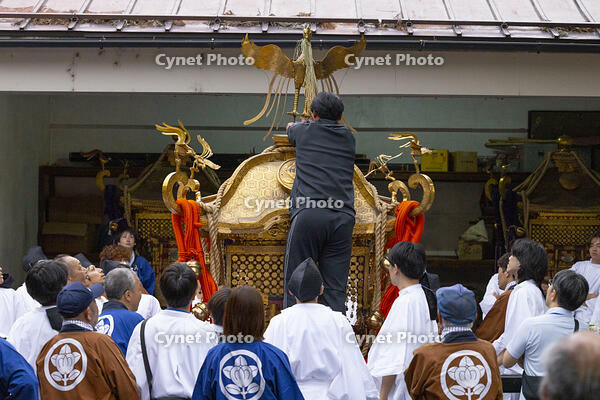 大垣祭（本楽）　神輿帰着 [OKE110019631]