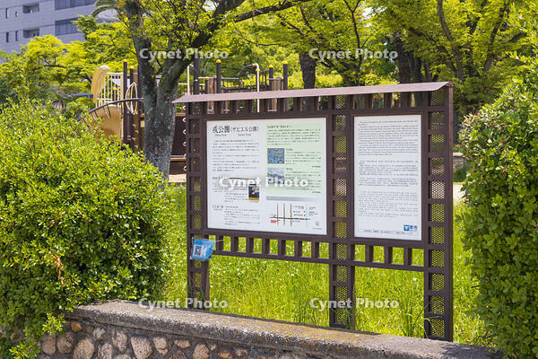 ザビエル公園　解説版 [OKE110019649]