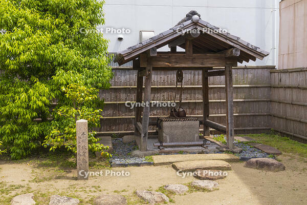 千利休屋敷跡　椿の井戸 [OKE110019657]