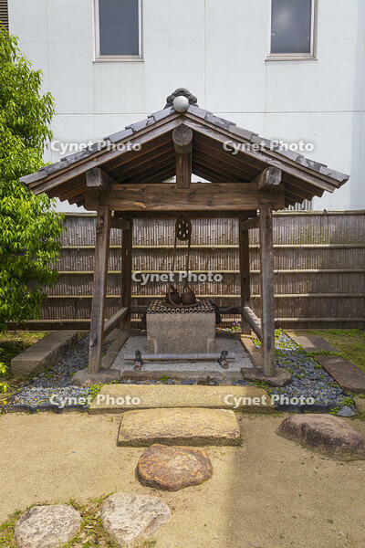 千利休屋敷跡　椿の井戸 [OKE110019659]