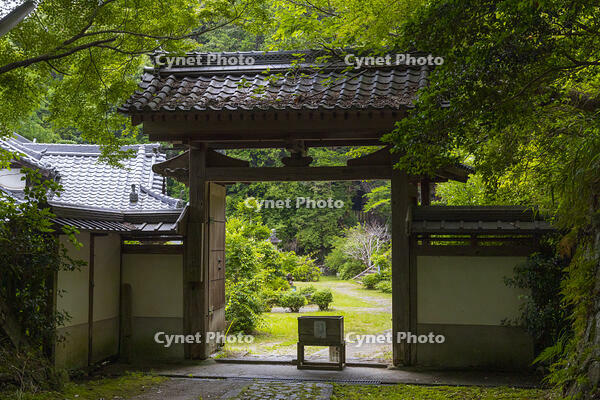 弘仁寺　山門 [OKE110019683]