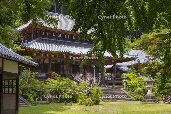 弘仁寺　本堂 [OKE110019685]