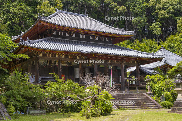 弘仁寺　本堂 [OKE110019686]