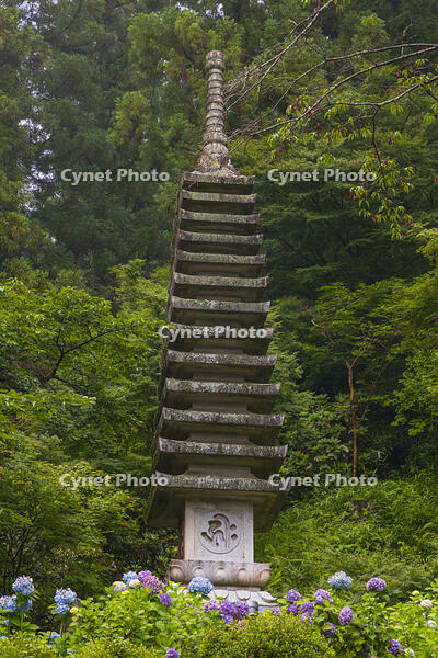 大和観音あぢさゐ回廊　岡寺　十三重石塔 [OKE110019704]
