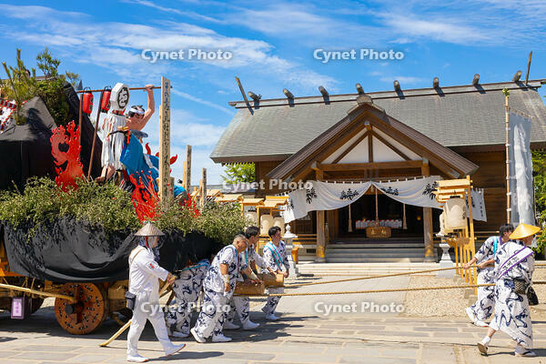 土崎神明社祭　曳山行事（宵宮）　郷社参り [OKE110019906]