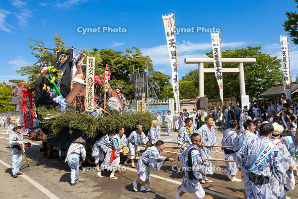 土崎神明社祭　曳山行事（宵宮） [OKE110019928]