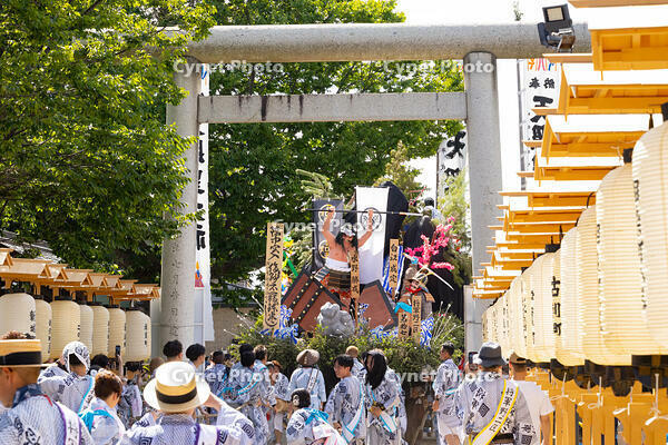 土崎神明社祭　曳山行事（宵宮）　郷社参り [OKE110019929]
