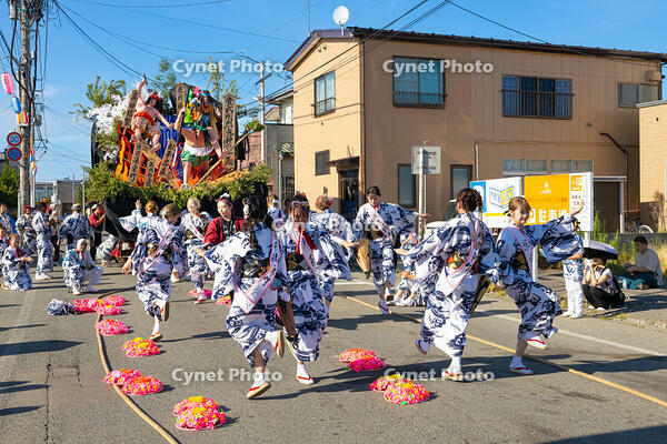 土崎神明社祭　曳山行事（宵宮）　演芸披露 [OKE110019942]