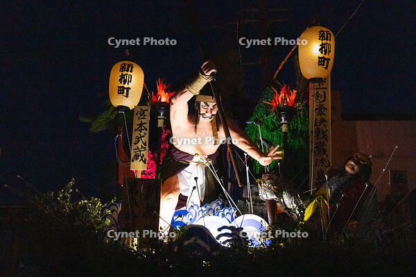 土崎神明社祭　曳山行事（本祭）　戻り曳山 [OKE110019966]