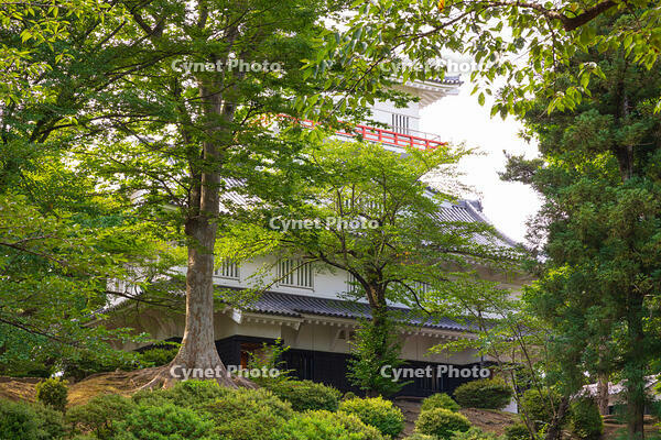 千秋公園（久保田城跡）　本丸新兵具隅櫓（御隅櫓） [OKE110019986]