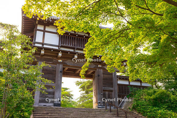 千秋公園（久保田城跡）　本丸表門（復元） [OKE110019992]