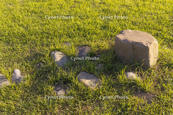 大湯環状列石　配石列 [OKE110020662]