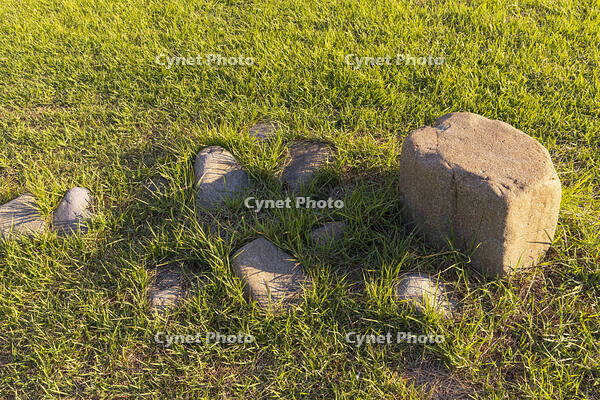 大湯環状列石　配石列 [OKE110020663]