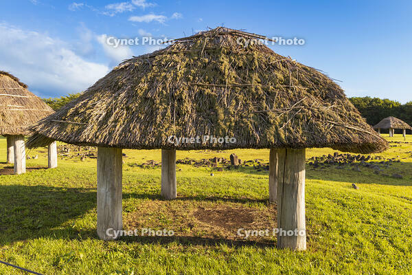 大湯環状列石　掘立柱建物跡 [OKE110020664]