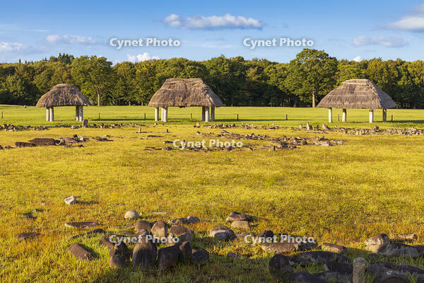 大湯環状列石　万座環状列石 [OKE110020666]