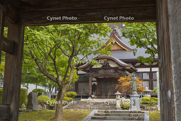 長年寺　山門から望む本堂 [OKE110020689]