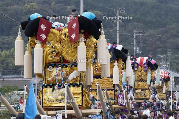 新居浜太鼓祭り　多喜浜地区内統一行動　東浜・白浜・新田 [OKE110021701]