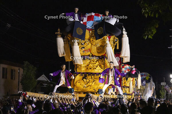 新居浜太鼓祭り　天神浜通りかきくらべ　白浜 [OKE110021722]