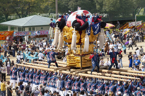 新居浜太鼓祭り　上部地区山根グラウンド統一寄せ [OKE110021729]