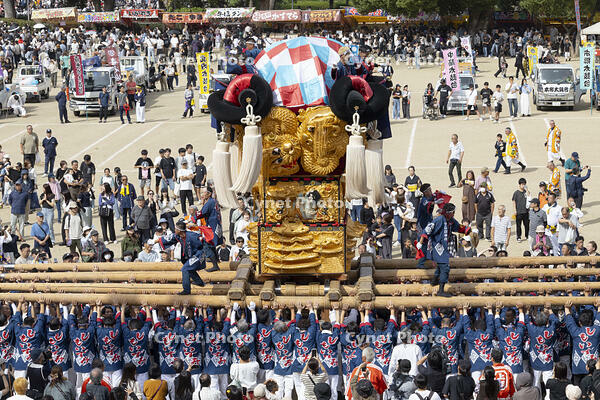 新居浜太鼓祭り　上部地区山根グラウンド統一寄せ [OKE110021731]