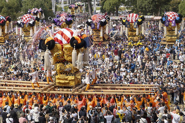 新居浜太鼓祭り　上部地区山根グラウンド統一寄せ [OKE110021750]