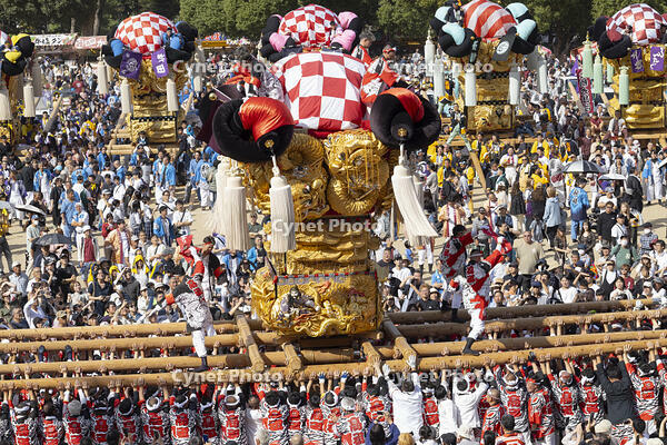 新居浜太鼓祭り　上部地区山根グラウンド統一寄せ [OKE110021756]