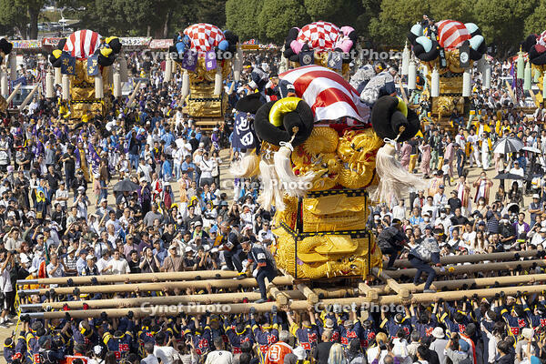 新居浜太鼓祭り　上部地区山根グラウンド統一寄せ [OKE110021759]